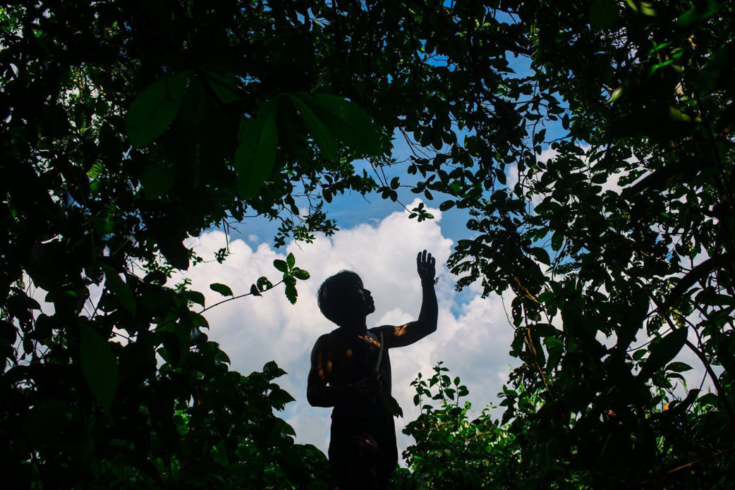 Reforestation Amazon Nimea Kaya Retreat Center