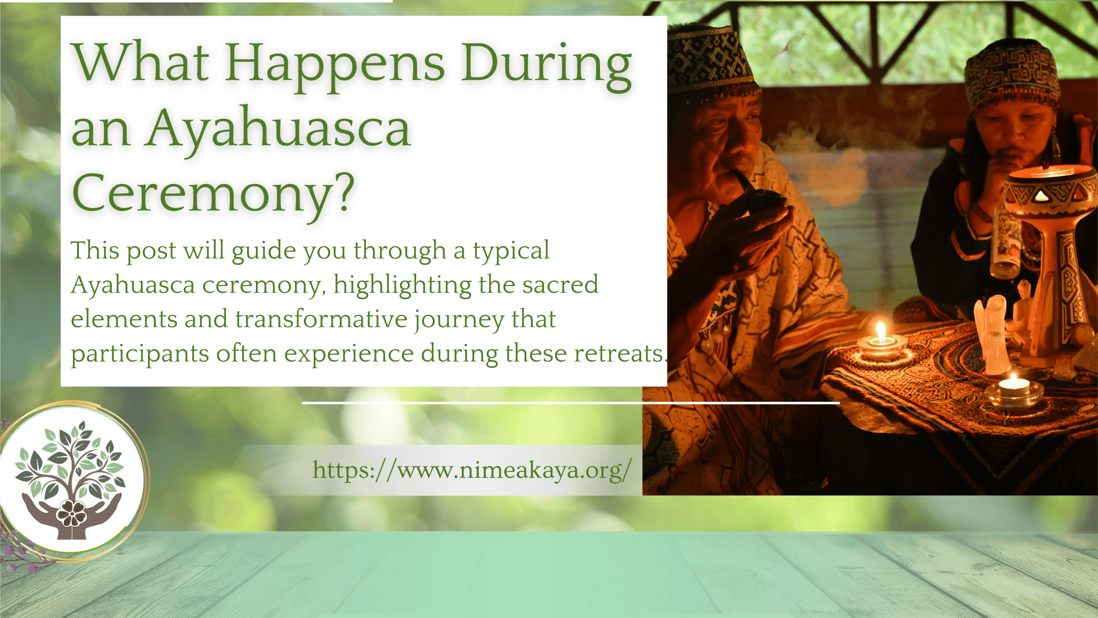 What Happens During an Ayahuasca Ceremony